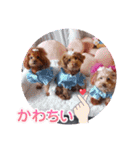 ange⑫（個別スタンプ：7）