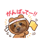 ange⑫（個別スタンプ：20）