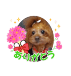 ange⑫（個別スタンプ：22）