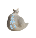 白猫 小梅ちゃん（個別スタンプ：5）
