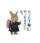 毒舌な動物で一言（個別スタンプ：15）