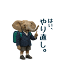 毒舌な動物で一言（個別スタンプ：27）