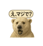 CS✨シロクマ詰め合わせ（個別スタンプ：2）