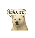 CS✨シロクマ詰め合わせ（個別スタンプ：5）