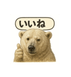 CS✨シロクマ詰め合わせ（個別スタンプ：7）