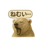CS✨シロクマ詰め合わせ（個別スタンプ：8）