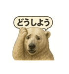 CS✨シロクマ詰め合わせ（個別スタンプ：9）