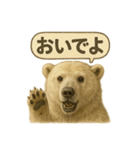 CS✨シロクマ詰め合わせ（個別スタンプ：10）