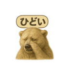 CS✨シロクマ詰め合わせ（個別スタンプ：13）
