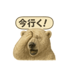 CS✨シロクマ詰め合わせ（個別スタンプ：14）
