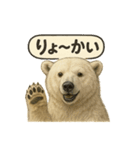 CS✨シロクマ詰め合わせ（個別スタンプ：15）