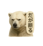 CS✨シロクマ詰め合わせ（個別スタンプ：17）