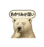 CS✨シロクマ詰め合わせ（個別スタンプ：19）