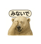 CS✨シロクマ詰め合わせ（個別スタンプ：21）
