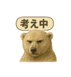 CS✨シロクマ詰め合わせ（個別スタンプ：22）
