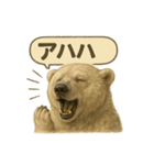 CS✨シロクマ詰め合わせ（個別スタンプ：23）