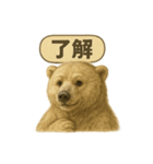 CS✨シロクマ詰め合わせ（個別スタンプ：24）