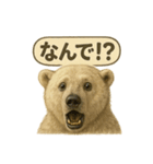 CS✨シロクマ詰め合わせ（個別スタンプ：25）