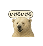 CS✨シロクマ詰め合わせ（個別スタンプ：26）