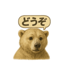 CS✨シロクマ詰め合わせ（個別スタンプ：27）