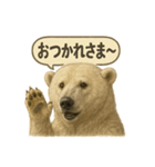 CS✨シロクマ詰め合わせ（個別スタンプ：28）