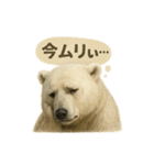 CS✨シロクマ詰め合わせ（個別スタンプ：29）