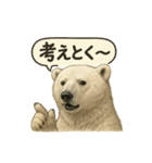 CS✨シロクマ詰め合わせ（個別スタンプ：31）