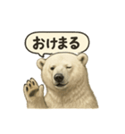 CS✨シロクマ詰め合わせ（個別スタンプ：33）