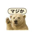 CS✨シロクマ詰め合わせ（個別スタンプ：35）