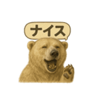 CS✨シロクマ詰め合わせ（個別スタンプ：39）