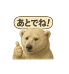 CS✨シロクマ詰め合わせ（個別スタンプ：40）