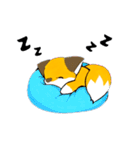 ゴン太のハッピーライフ（個別スタンプ：2）