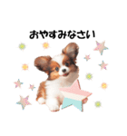 かわいいパピヨンの犬スタンプ3（個別スタンプ：4）