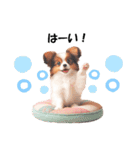 かわいいパピヨンの犬スタンプ3（個別スタンプ：5）