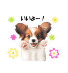 かわいいパピヨンの犬スタンプ3（個別スタンプ：7）