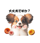かわいいパピヨンの犬スタンプ3（個別スタンプ：12）