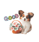 かわいいパピヨンの犬スタンプ3（個別スタンプ：14）
