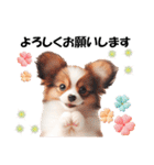 かわいいパピヨンの犬スタンプ3（個別スタンプ：15）