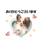 かわいいパピヨンの犬スタンプ3（個別スタンプ：17）