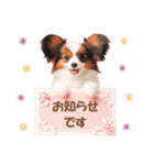 かわいいパピヨンの犬スタンプ3（個別スタンプ：27）
