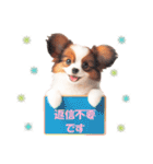 かわいいパピヨンの犬スタンプ3（個別スタンプ：28）