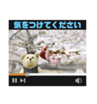くまたちの日常 その9（個別スタンプ：3）