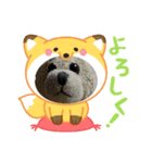 くまたちの日常 その9（個別スタンプ：5）