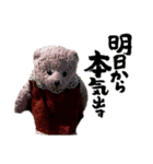 くまたちの日常 その9（個別スタンプ：6）