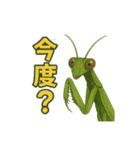 CS✨カマスタ！（個別スタンプ：2）