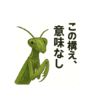 CS✨カマスタ！（個別スタンプ：3）