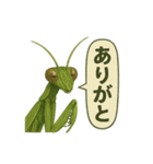 CS✨カマスタ！（個別スタンプ：4）