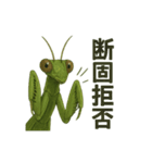 CS✨カマスタ！（個別スタンプ：5）