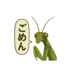 CS✨カマスタ！（個別スタンプ：6）
