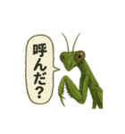 CS✨カマスタ！（個別スタンプ：7）
